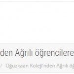 02042015_yenieklenen.com